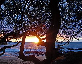 photography/beach_sunset_1563691190.jpg