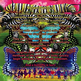 stickers2/butterfly_1563785628.jpg