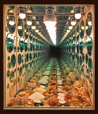 infinity_lamp_2018_1563541543.jpg