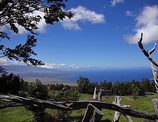 photography/kohala_to_kona_1563691193.jpg