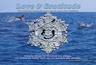Postcards/love-_1574936226.jpg
