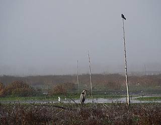photography/paynes_prairie_1563691190.jpg