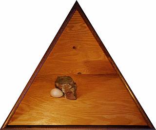 rock___egg_1563538380.jpg