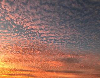 photography/sunrise_1564712968.jpg