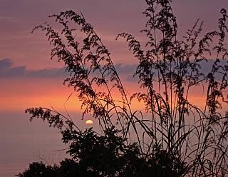 photography/sunset_1563691192.jpg